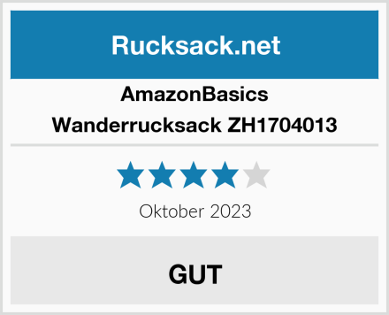 AmazonBasics Wanderrucksack ZH1704013 Test